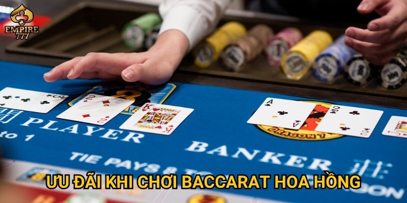 Ưu đãi khi chơi baccarat hoa hồng